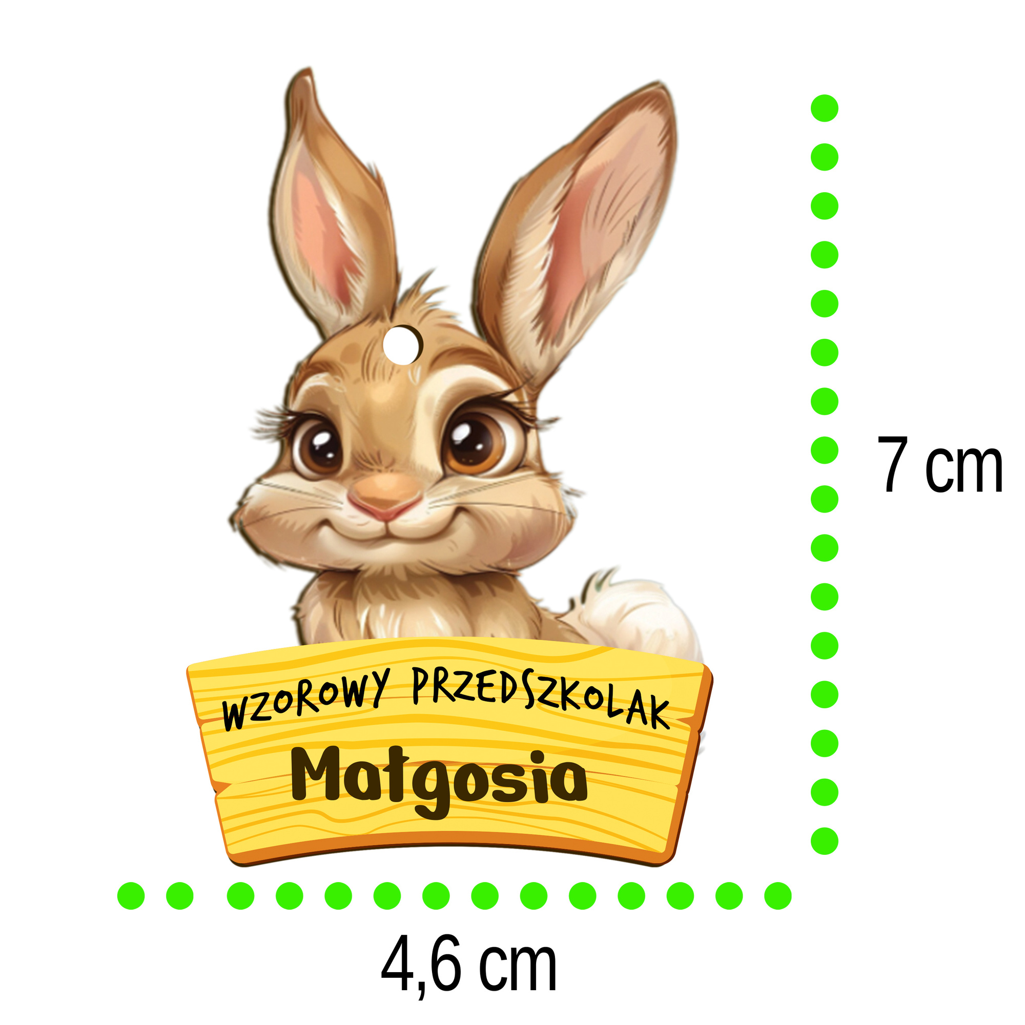 Medal zając, pasowanie, szkoła