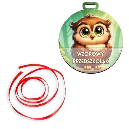 Medal Pasowanie/Dzień Przedszkolaka – Grupa Sówki