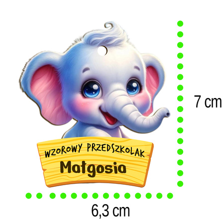 Medal Pasowanie/Dzień Przedszkolaka/Zakończenie - Imienny, Grupa Słoniki