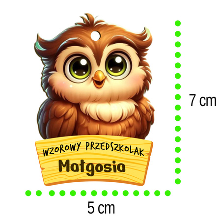 Medal Pasowanie/Dzień Przedszkolaka/Zakończenie - Imienny, Grupa Sówki